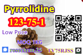 8615355326496 European star products with high quality and fast delivery Pyrrolidine Cas 123751